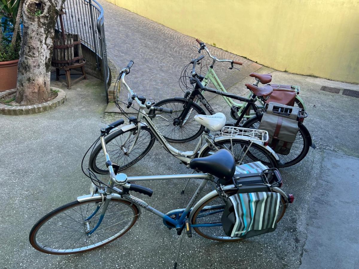 B&B I Tre Gatti Pesaro Eksteriør billede